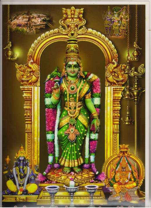 madurai-meenatchi-amman-koil-free-laddu-prasadham