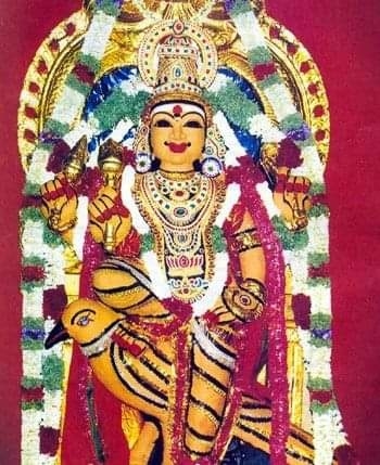 sani-disai-eppodhu-yogam-kodukkum