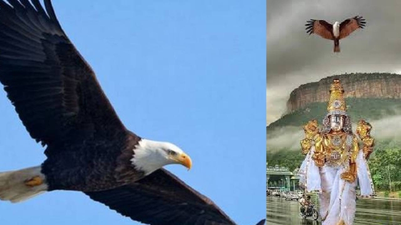 the-vision-of-garuda-and-its-benefits